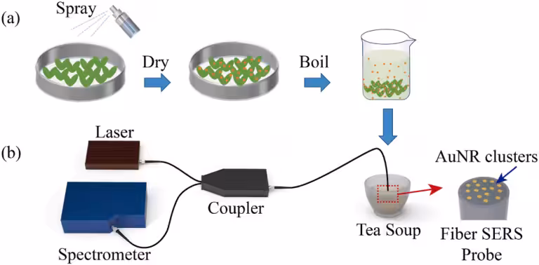 The schematic for the preparation of contaminated tea soup samples
