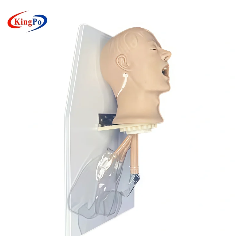 ISO 9360-2 Figure 1 Simulated Patient Head – KingPo Airway Port for Passive HME Connection